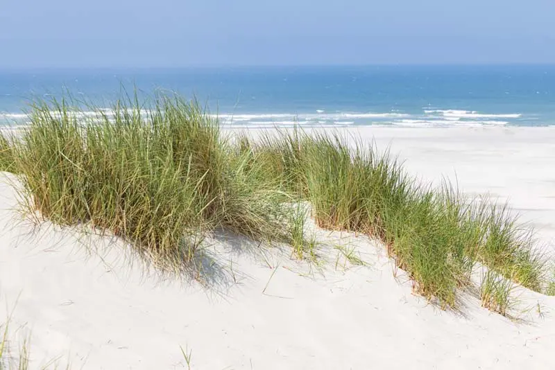 strand_vielan